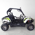 UTV 300 yoldan yan yana 