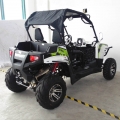 UTV 300 yoldan yan yana 